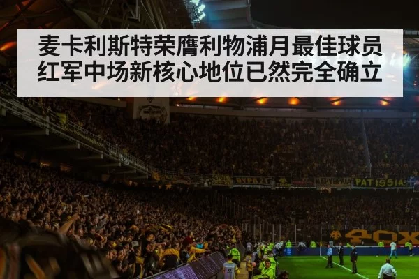 soccer stadium atmosphere